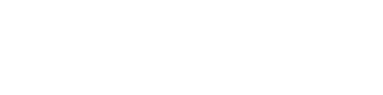 Fortified Networks